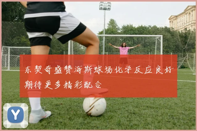 东契奇盛赞海斯球场化学反应良好期待更多精彩配合