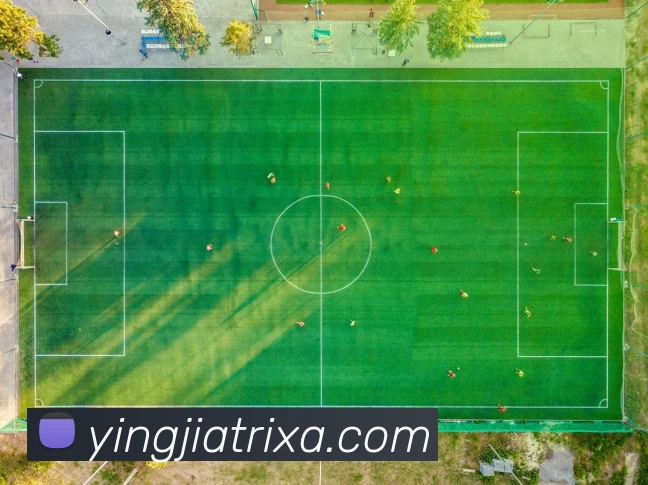 App Interface Preview
