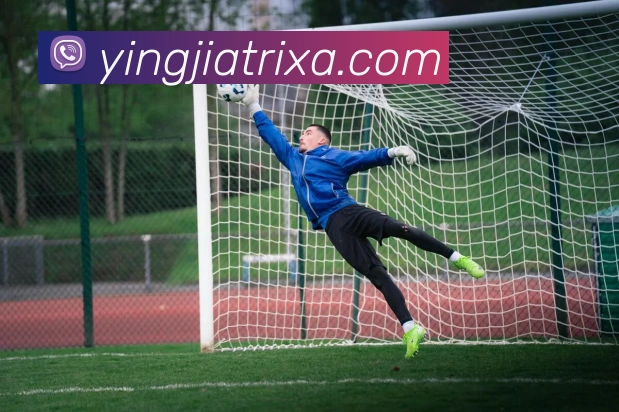 盈嘉体育APP 封面图